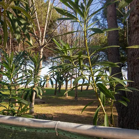 La Pineta Nord - Myho Casa Apartmán *